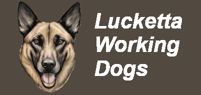 Lucketta dog logo